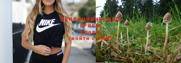 гашиш Заводоуковск