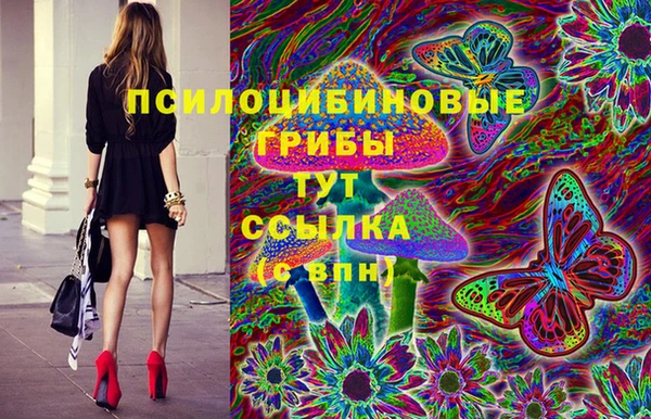 гашиш Заводоуковск